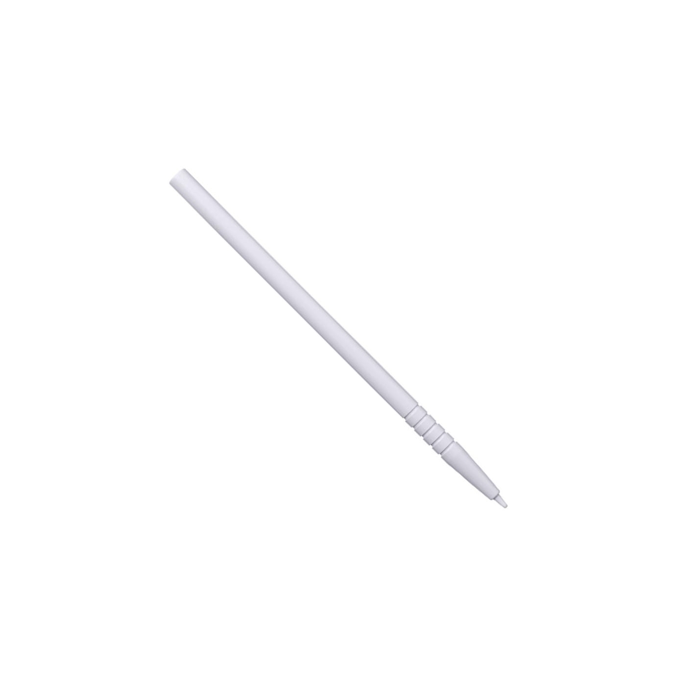 Casio CLASSPAD II (FX-CP400) touchscreenpen