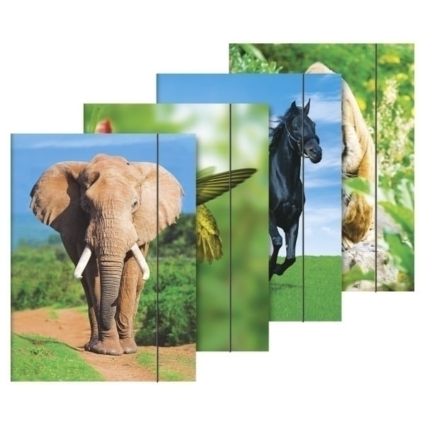 Sammelmappe A3 Tiere Gummizug