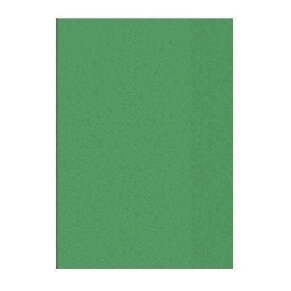 Hefthülle Brunnen A5 tr grün Folie