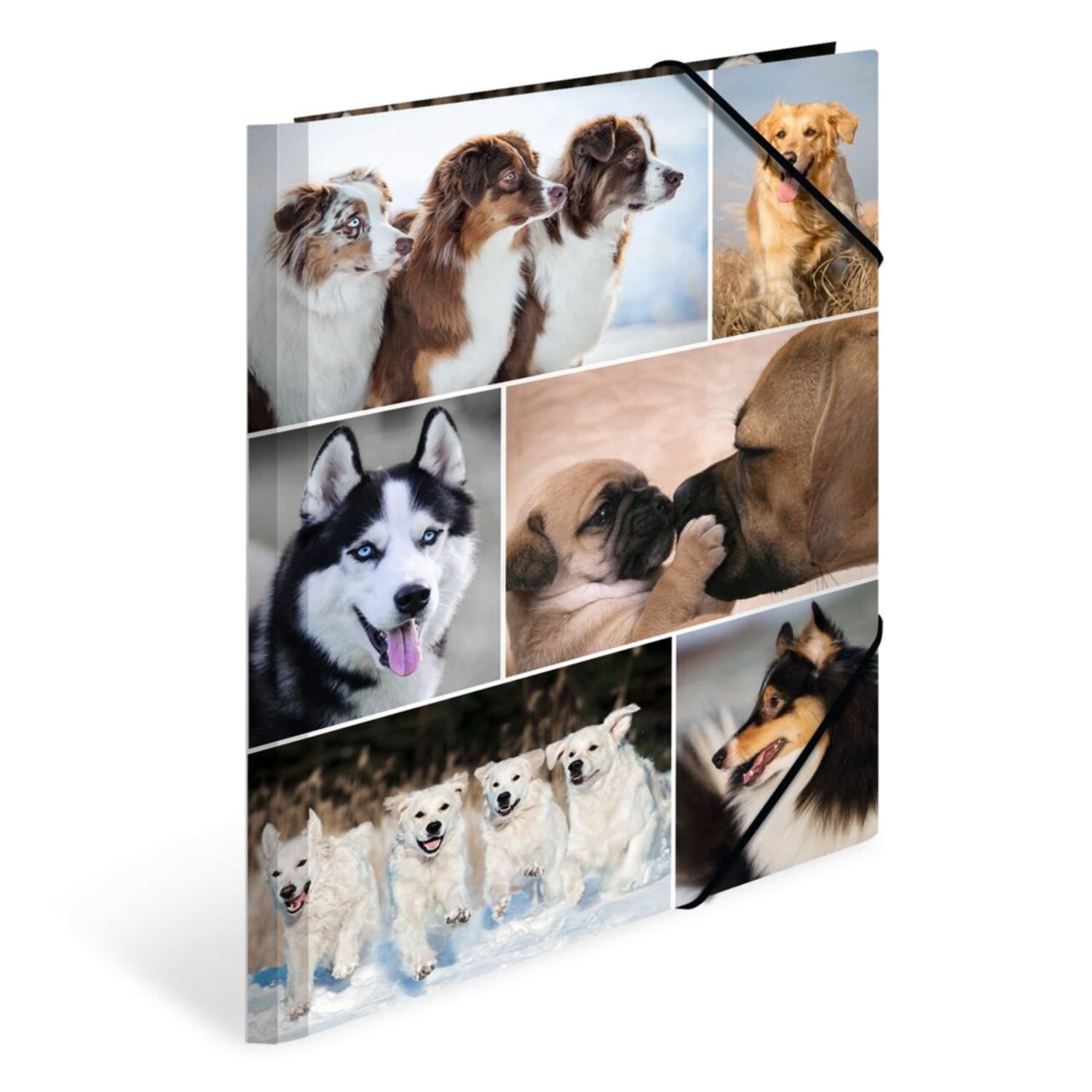Herma Kartonmappe A4, Hunde