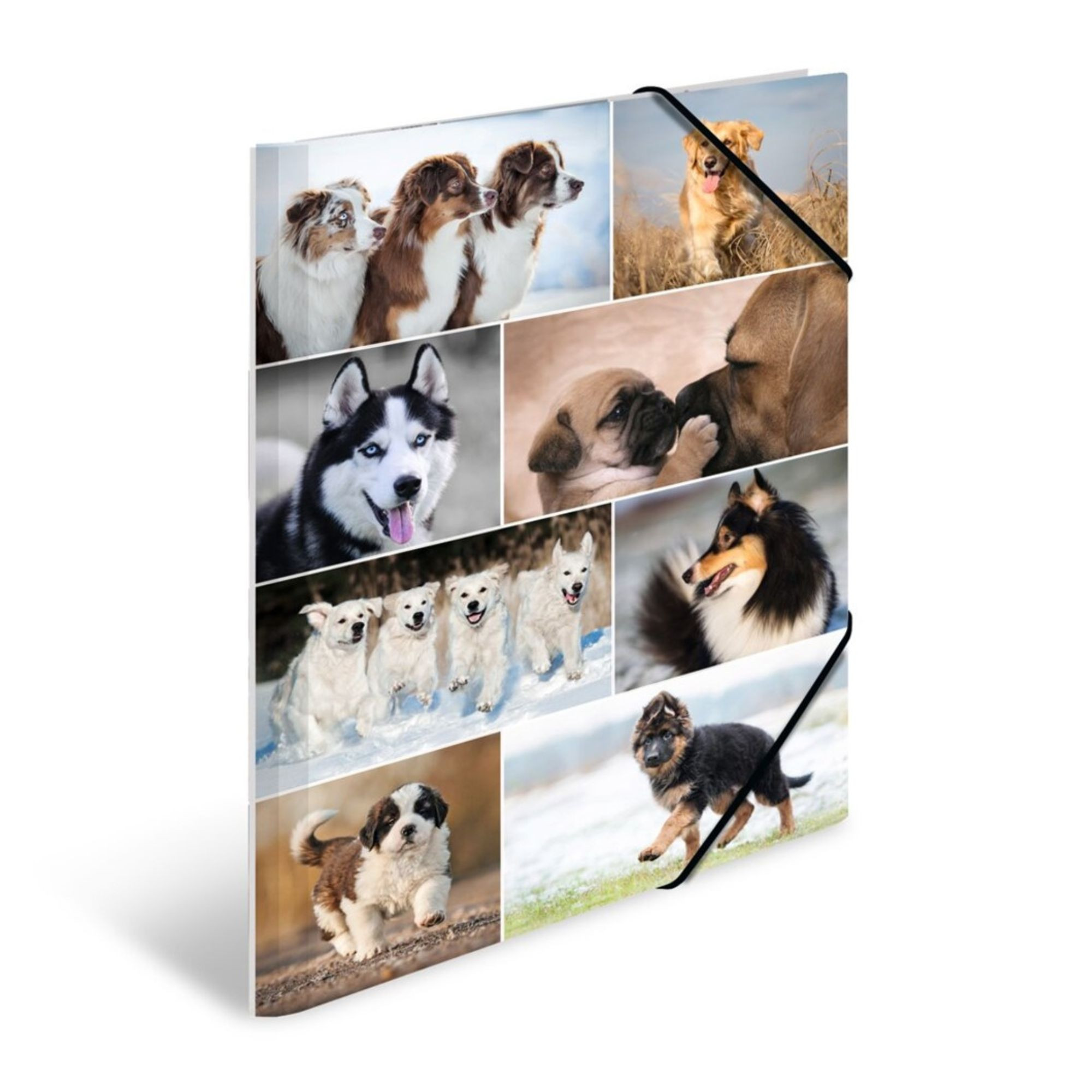 Herma Kartonmappe A3, Hunde
