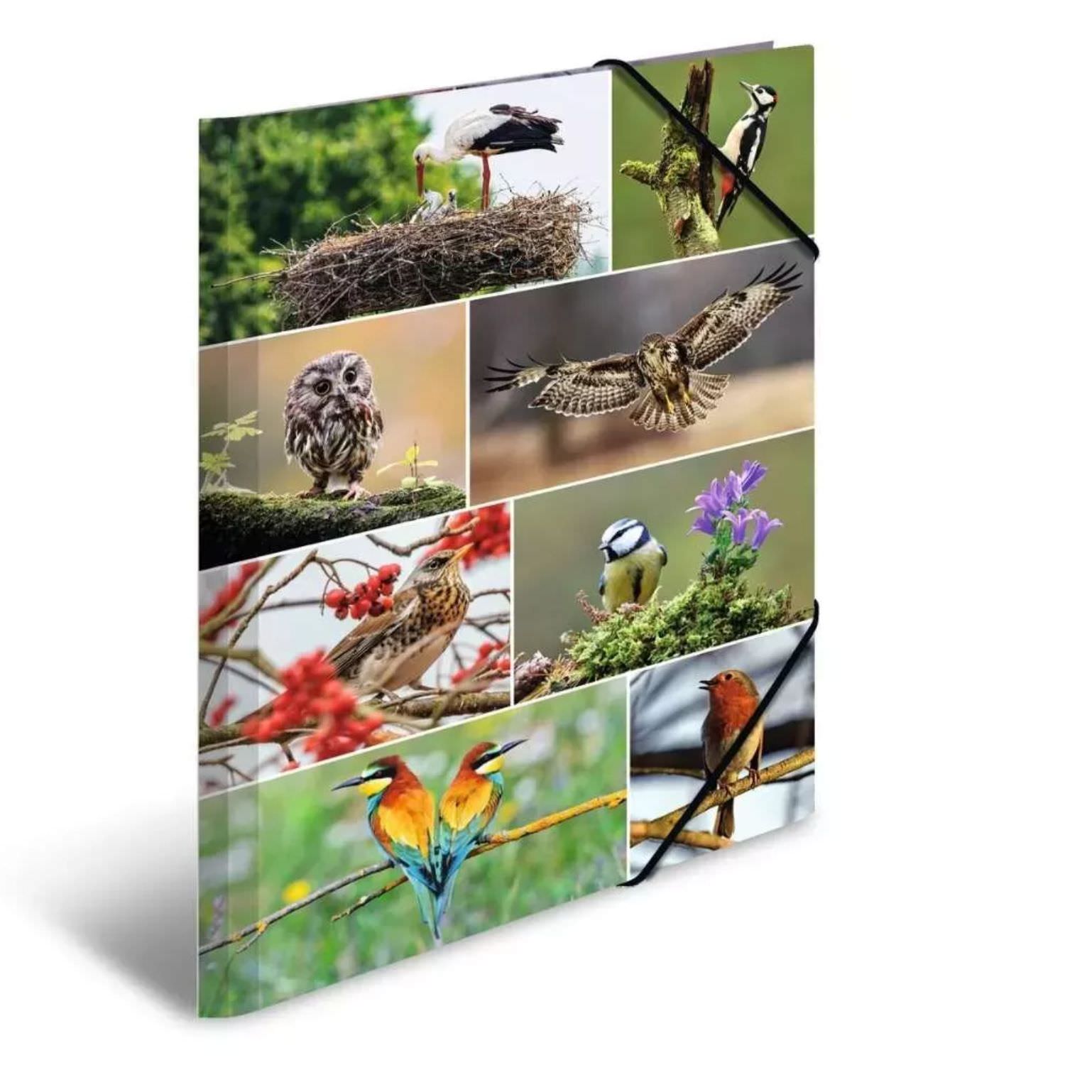 Herma Kartonmappe A3, Heimatvögel