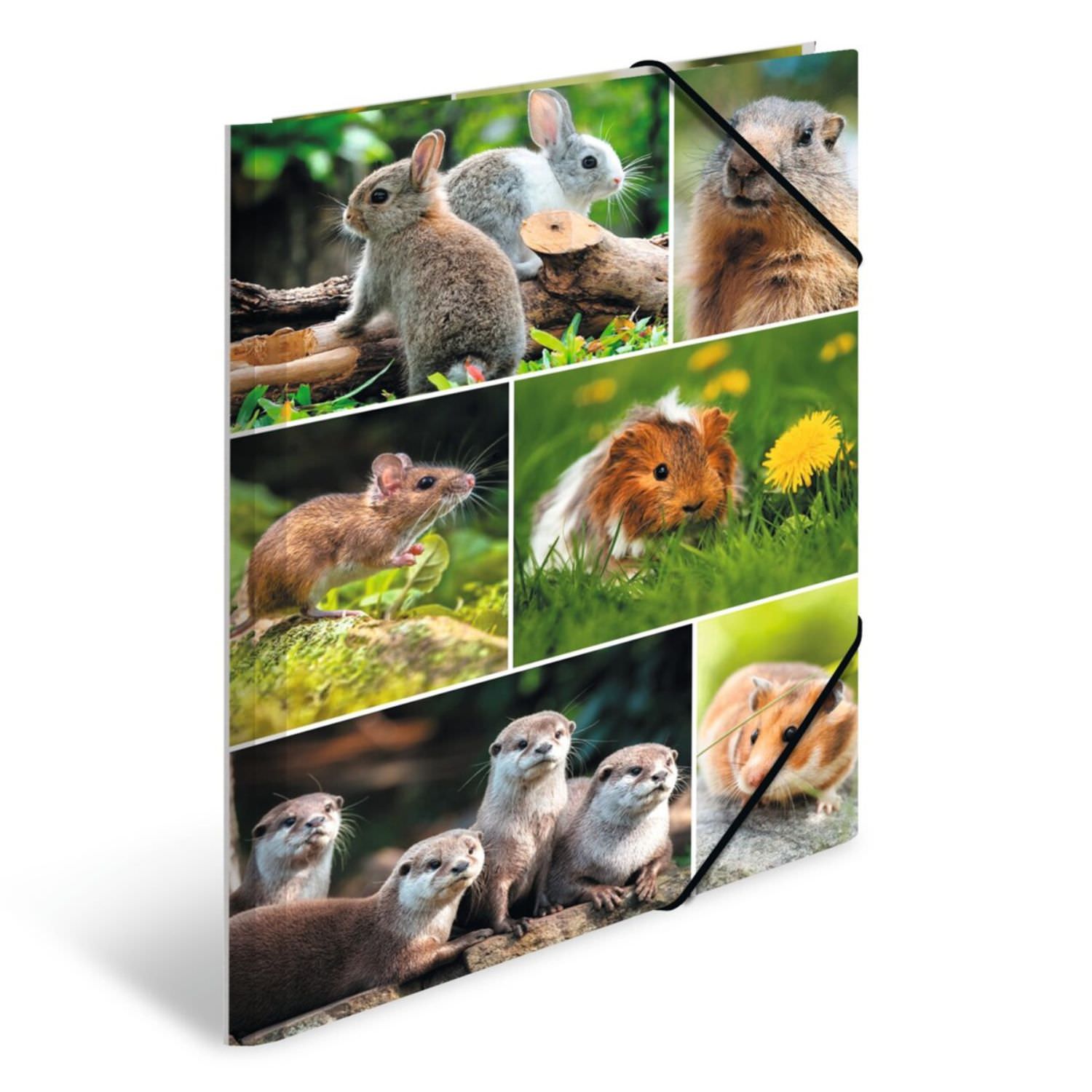 Herma Kartonmappe A4, Nagetiere