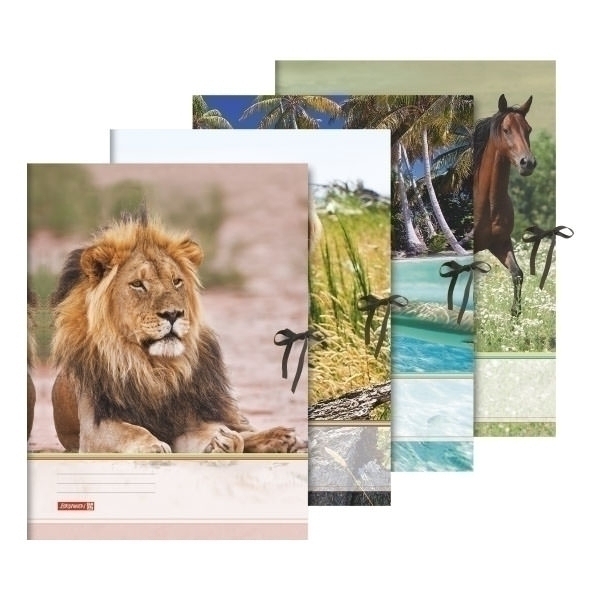 Sammelmappe A3 Tiere Band