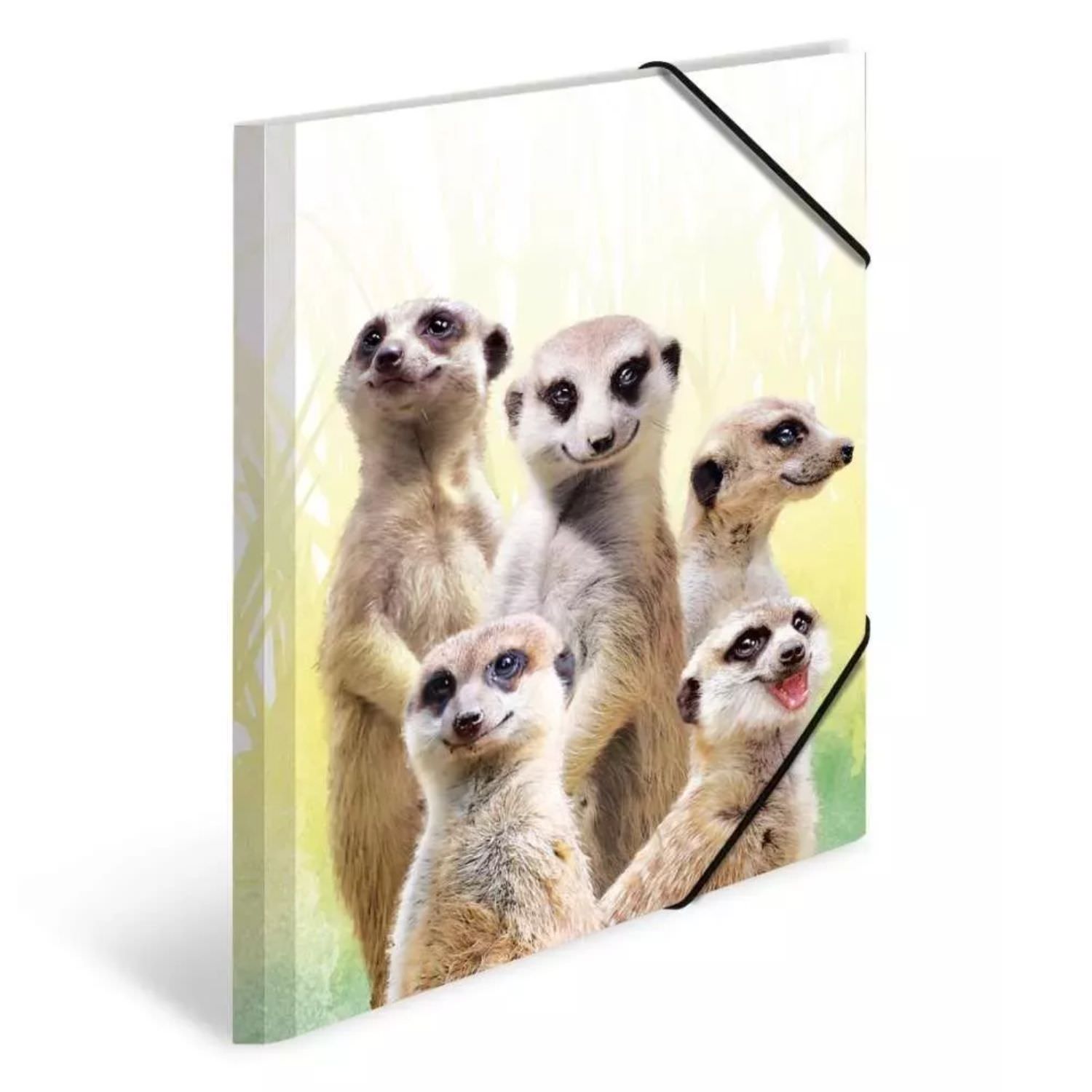 Herma Sammelmappe A3, exotische Tiere, Erdmännchen