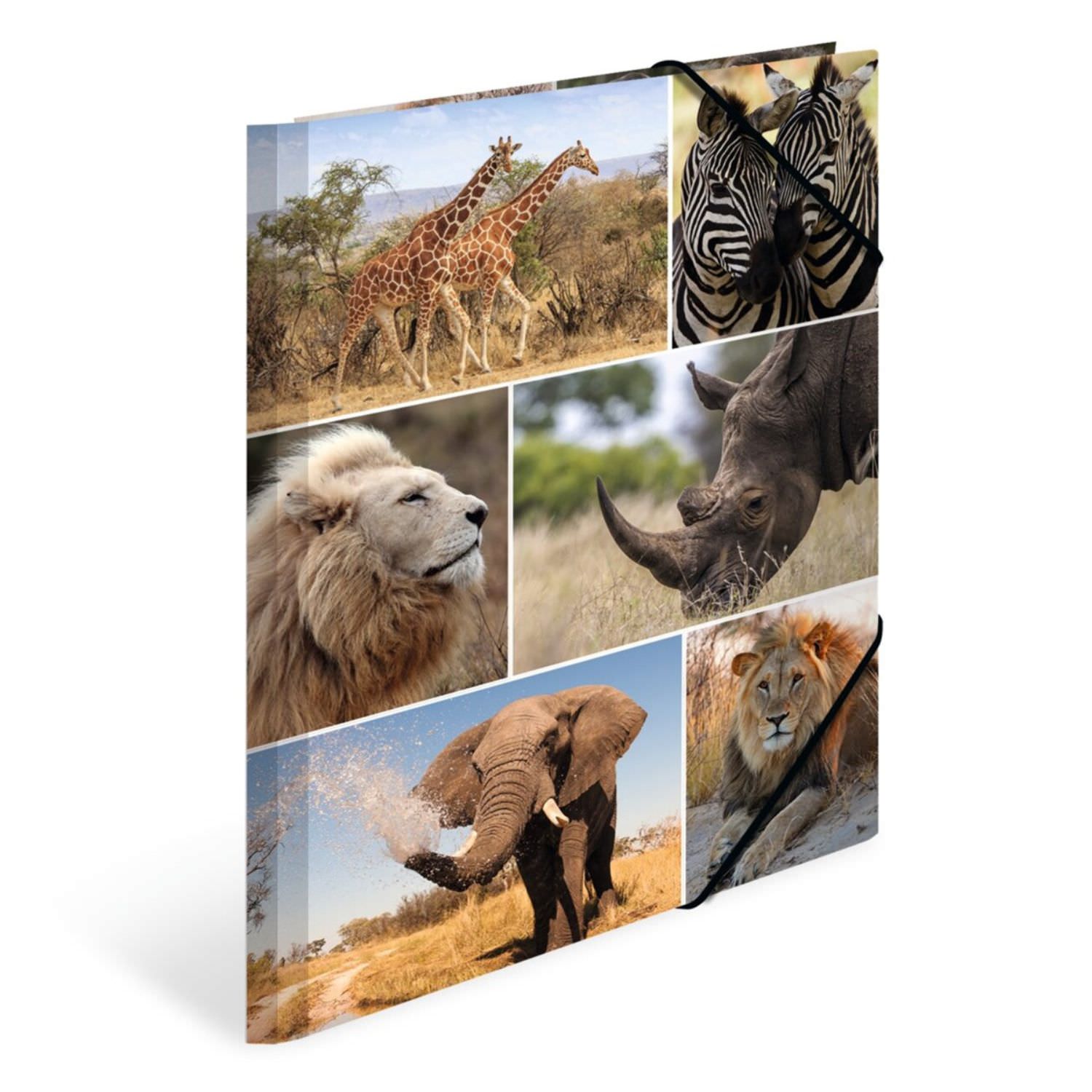 Herma Kartonmappe A4, Afrikanische Tiere