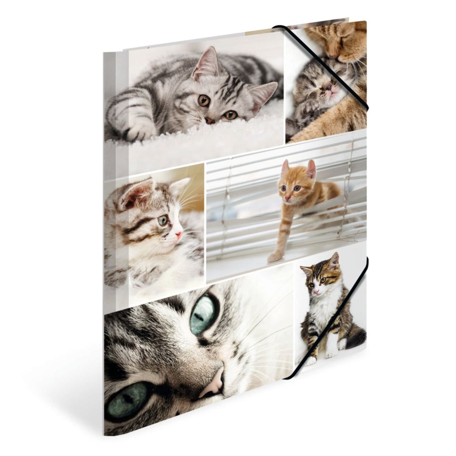 Herma Kartonmappe A4, Katzen