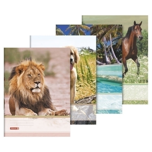 Sammelmappe A3 Tiere