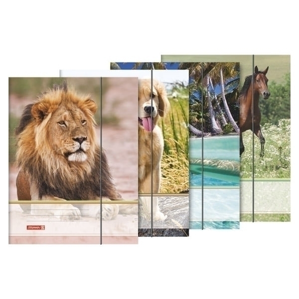 Sammelmappe A4 Tiere Gummizug