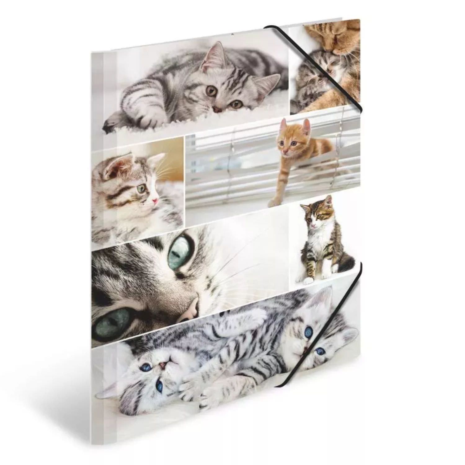 Herma Kartonmappe A3, Katzen